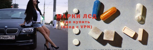 гидра Арсеньев