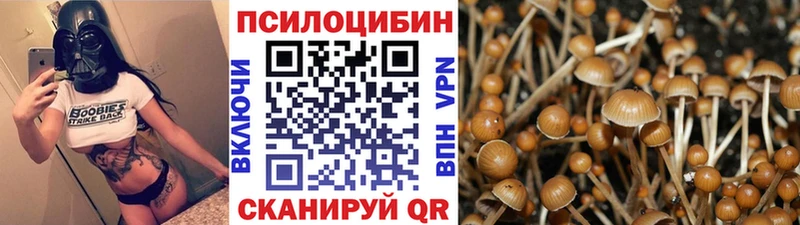 Галлюциногенные грибы MAGIC MUSHROOMS darknet какой сайт Енисейск где можно купить наркотик